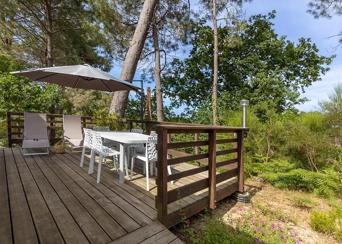 Bousquet Vue Exceptionnelle Moliets-et-Maa